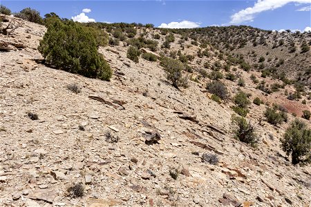 Near Bobcat Trailhead