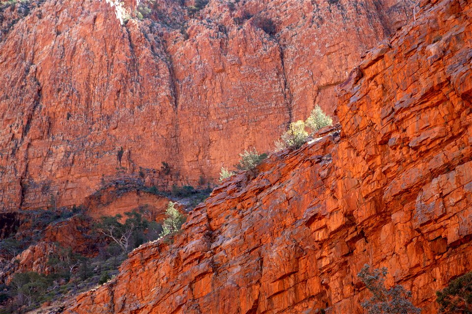 Ormiston Gorge photo