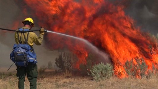 Flames in Sagebrush photo