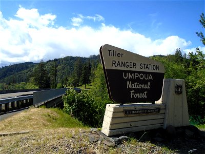 Tiller Ranger Station Classic FS Sign 3