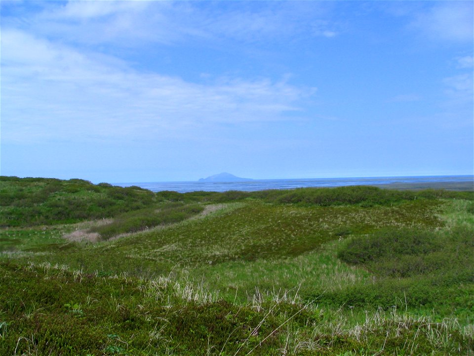 Izembek Landscape