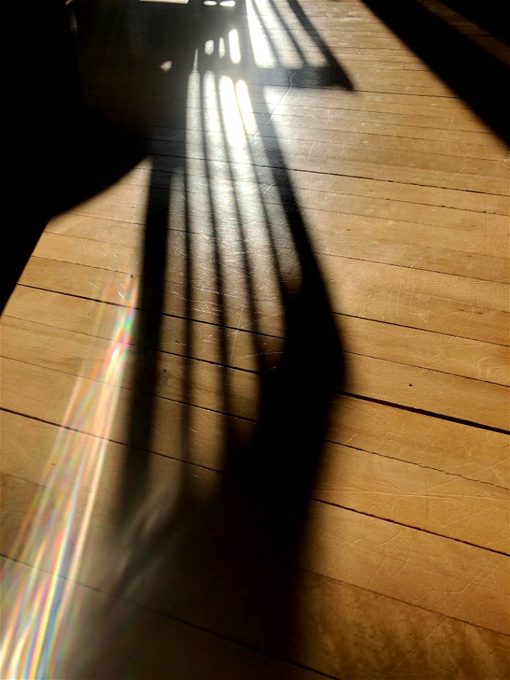 2023/365/21 Long Shadows of Long Mornings