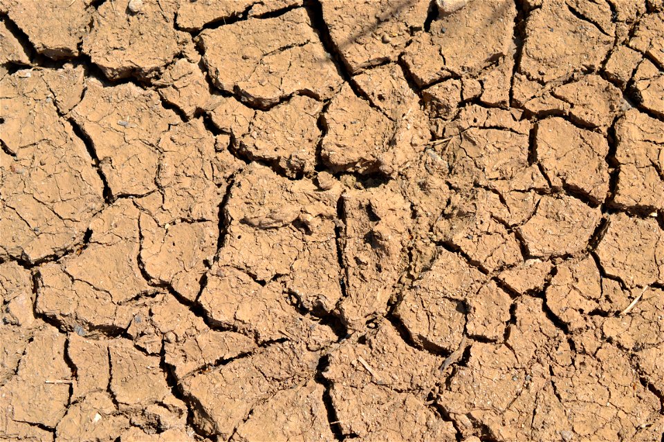 Free textures with cracks