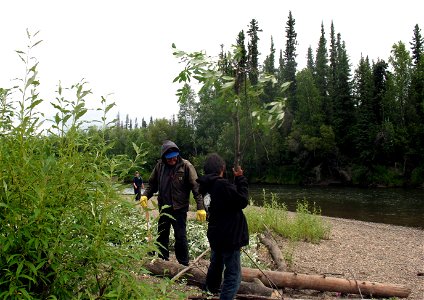 Building a fish drying rack