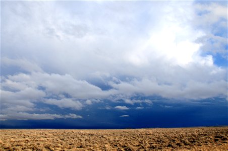 Scenic sage steppe at Seedskadee National Wildlife Refuge photo