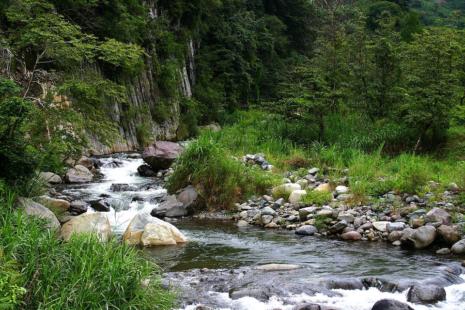 Mountain Stream in Western Panama photo