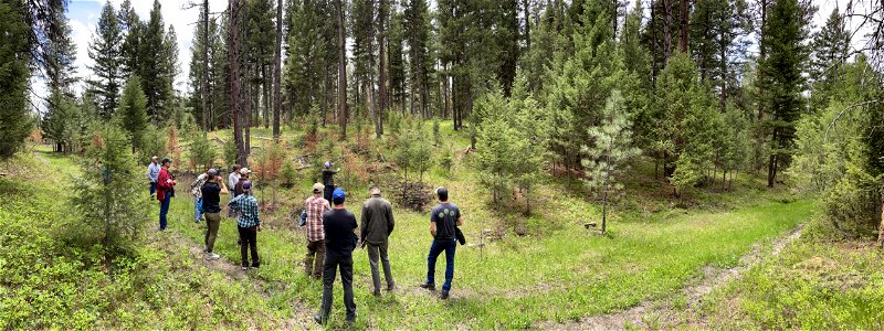 2022 BLM Fire Employee Photo Contest Category -  Partnerships