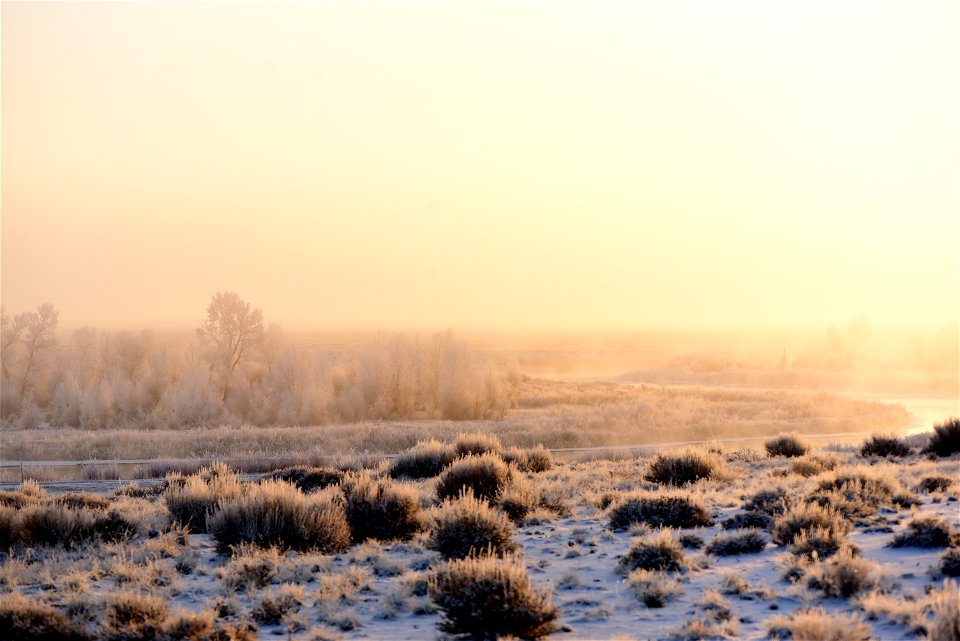 Hoar frost along the Green River at Seedsakdee NWR