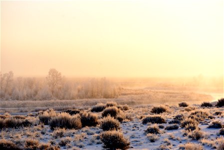 Hoar frost along the Green River at Seedsakdee NWR