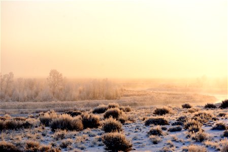 Hoar frost along the Green River at Seedsakdee NWR photo