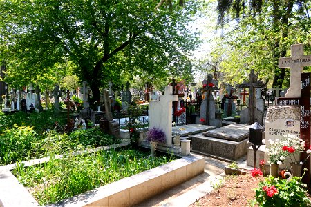 cimitir Sfanta Vineri (16)