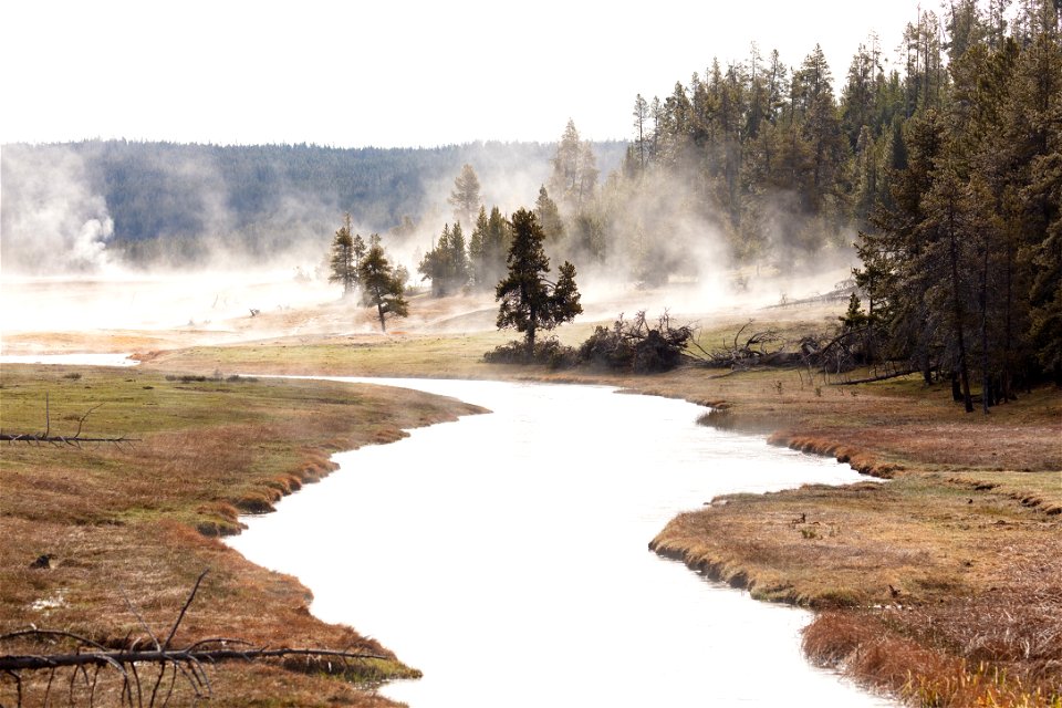 Early light along Nez Perce Creek