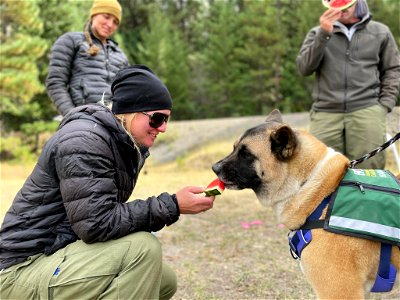 HopeTherapyDogatICP GoatRocksFire 20220919