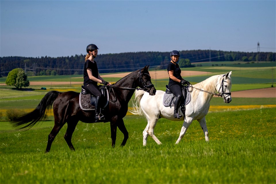 3-Napirai_Dschesim_OS221360