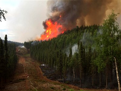 2021 USFWS Fire Employee Photo Contest Category: Landscape and Fire photo