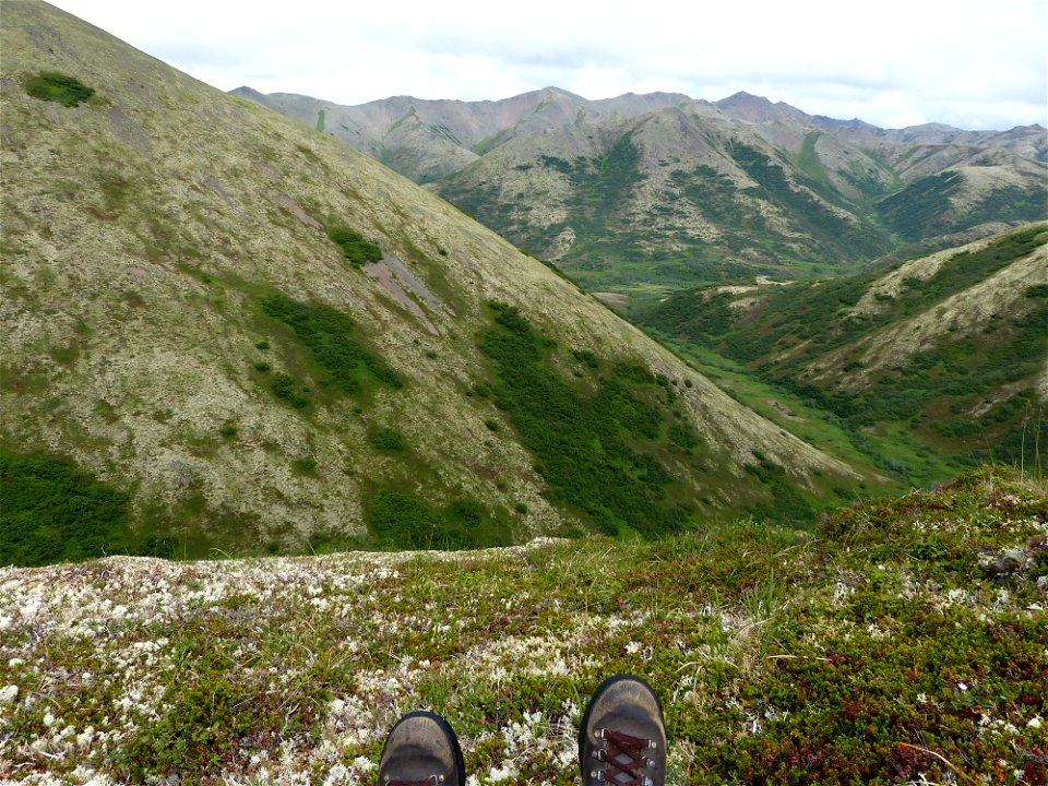 Kilbuck Mountains