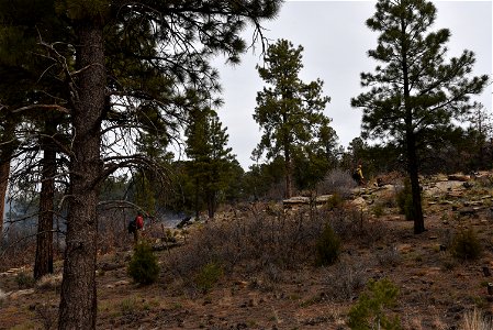 Ray Mesa Prescribed Burn Fall 2021