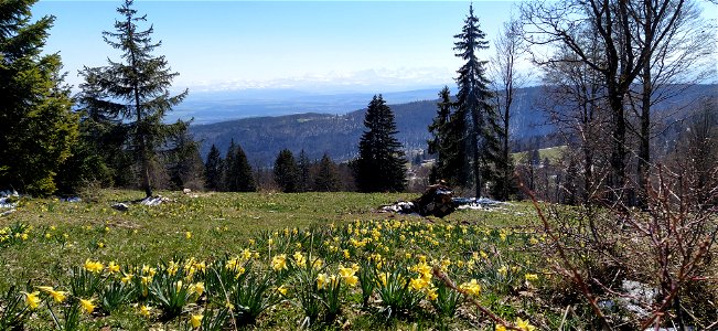 IMG_20210408_122200