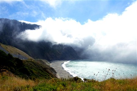 Fog on the coast, Oregon photo