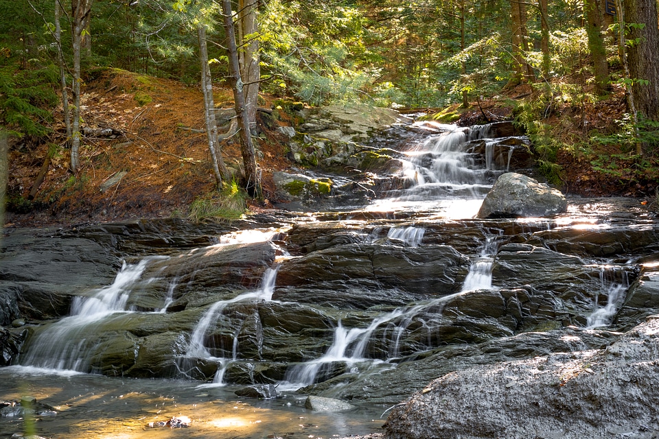 Cascading fall in spring on Harpswell Cliff Trail in Maine