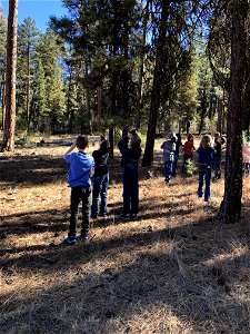 A group of kids learn about forest science at an Every Kid Outdoors Field Day