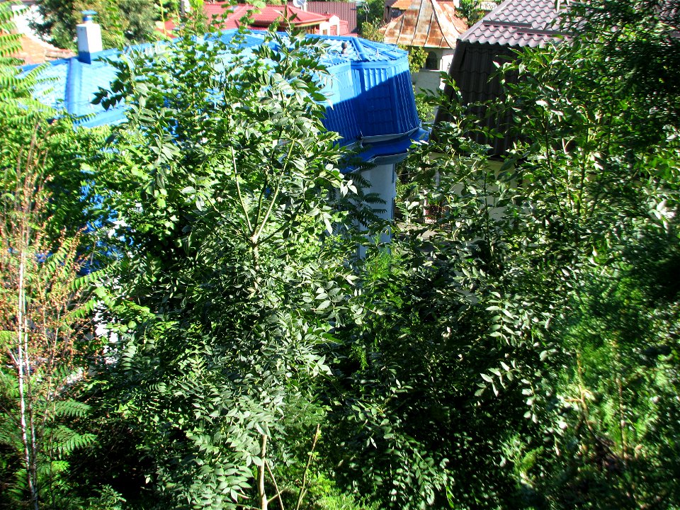 Panorama from panduri (94)