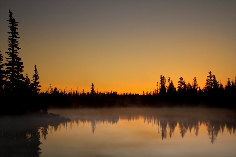 Golden sunrise and fog Big Lake, Oregon photo