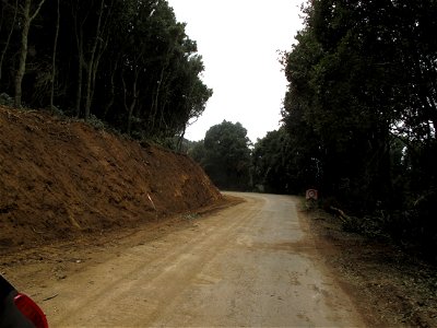 Travaux de réfection, Ersa