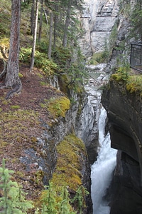 Parker Ridge Trail in the Canadian Rockies photo