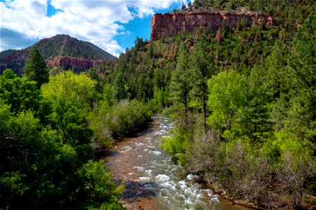 San Miguel River Canyon-17