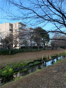 Kurome River in Shinyama Waterside Plaza, Higashikurume-shi
