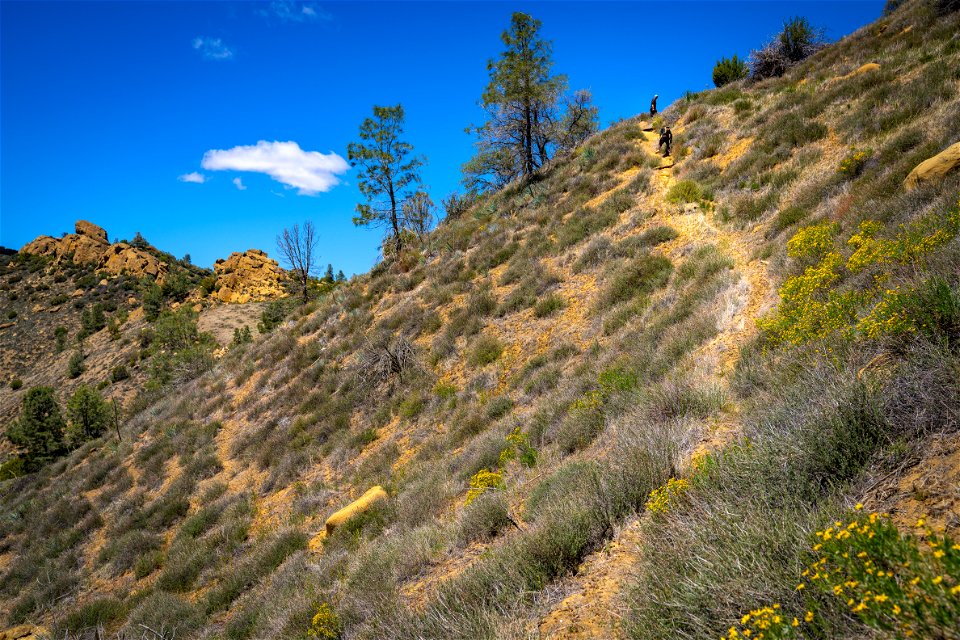 Clear Creek Management Area