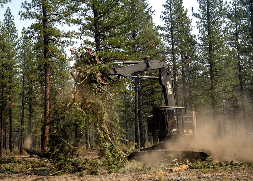 ForestTreatment-Lassen-Sept2021-772