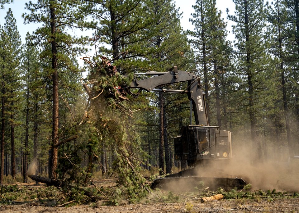 ForestTreatment-Lassen-Sept2021-772 photo