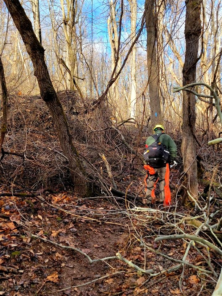 Trail Work on Fox Hollow Trail