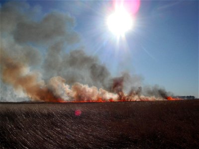 Prescribed Burn