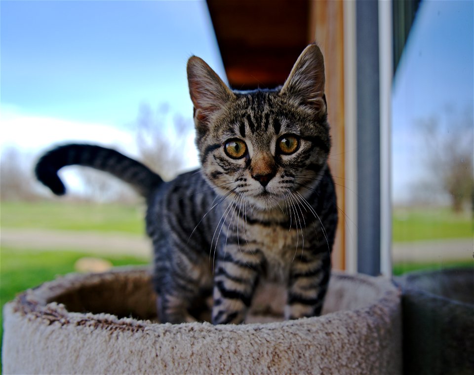 Outside Adventure