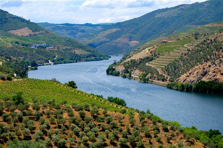 Landscape of Douro Valley photo