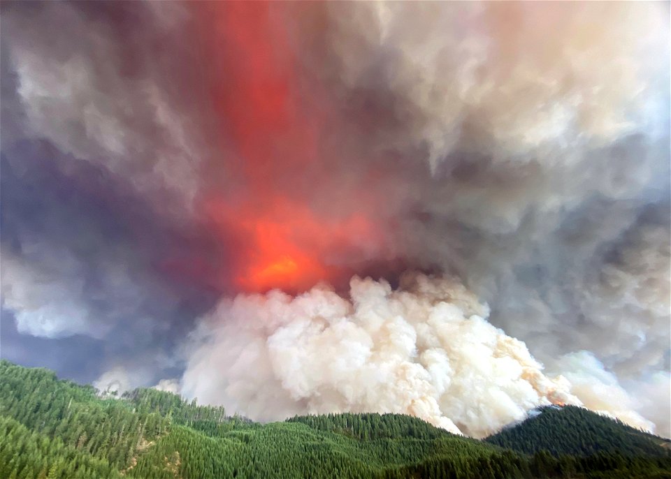 2021 BLM Fire Employee Photo Contest Category: The Land We Protect