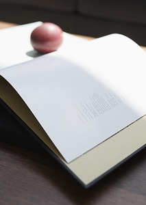 Book and Fruit photo