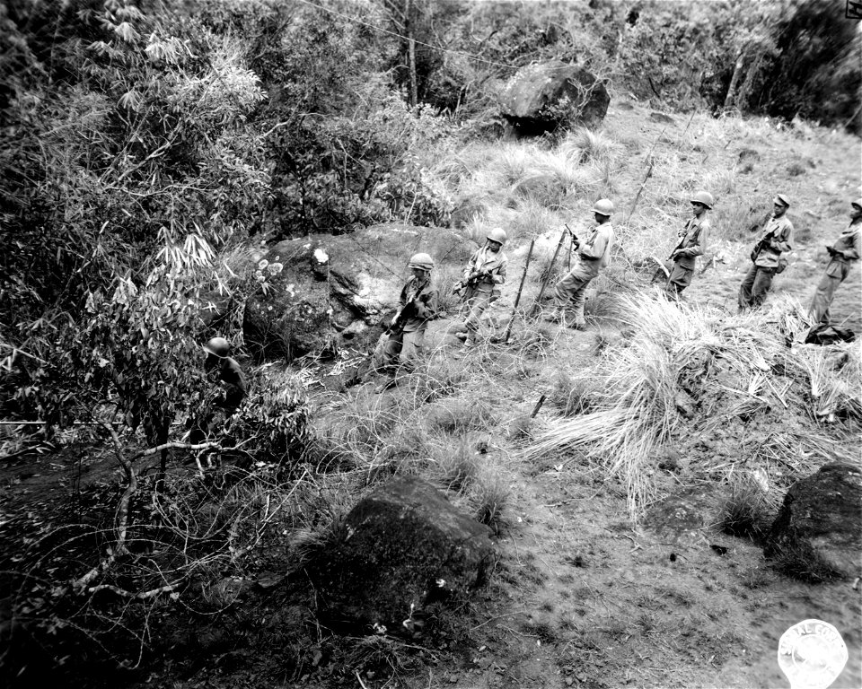 SC 270896 - Patrol operating in heavily-wooded slope of hill facing gun positions of 64th F.A., 25th Div.