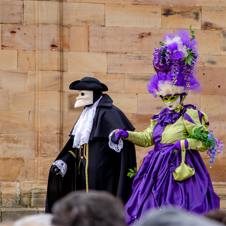 Être en bonne compagnie ! - Carnaval vénitien de Rosheim #5