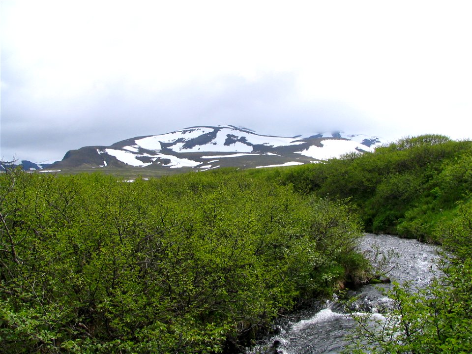 Izembek Wilderness