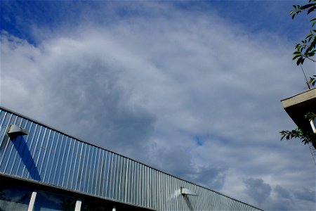 DSCF9541