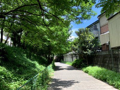 Shimosato in Higashikurume-shi