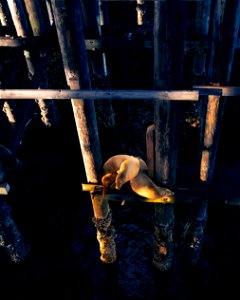 Under the Boardwalk