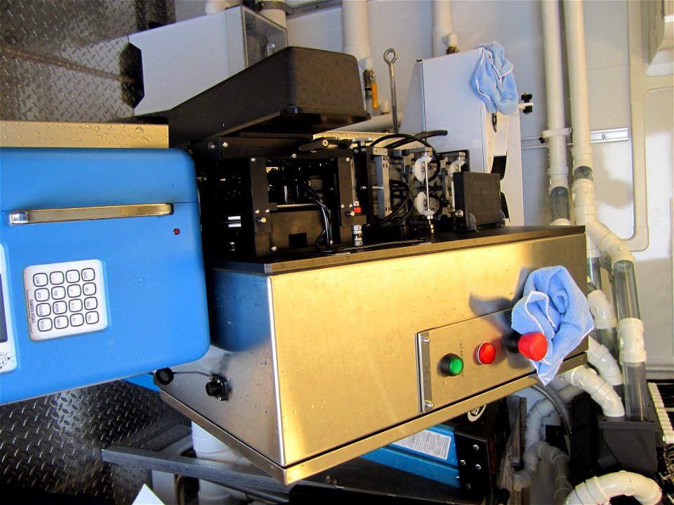 Fish processing line