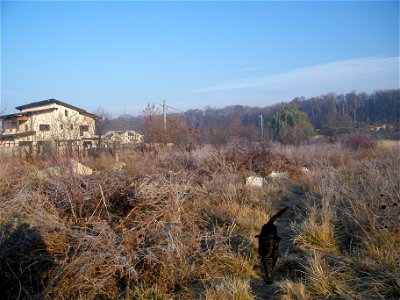 oriz_fabrica2011_1202_091858