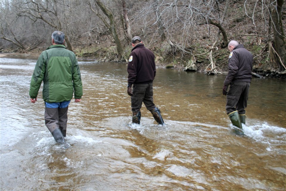 Regional Director and Refuge Staff Wading Creek on Ozark Cavefish National Wildlife Refuge