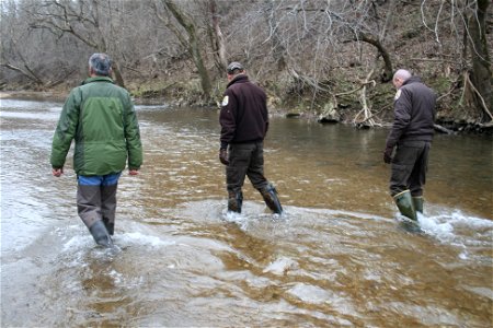 Regional Director and Refuge Staff Wading Creek on Ozark Cavefish National Wildlife Refuge
